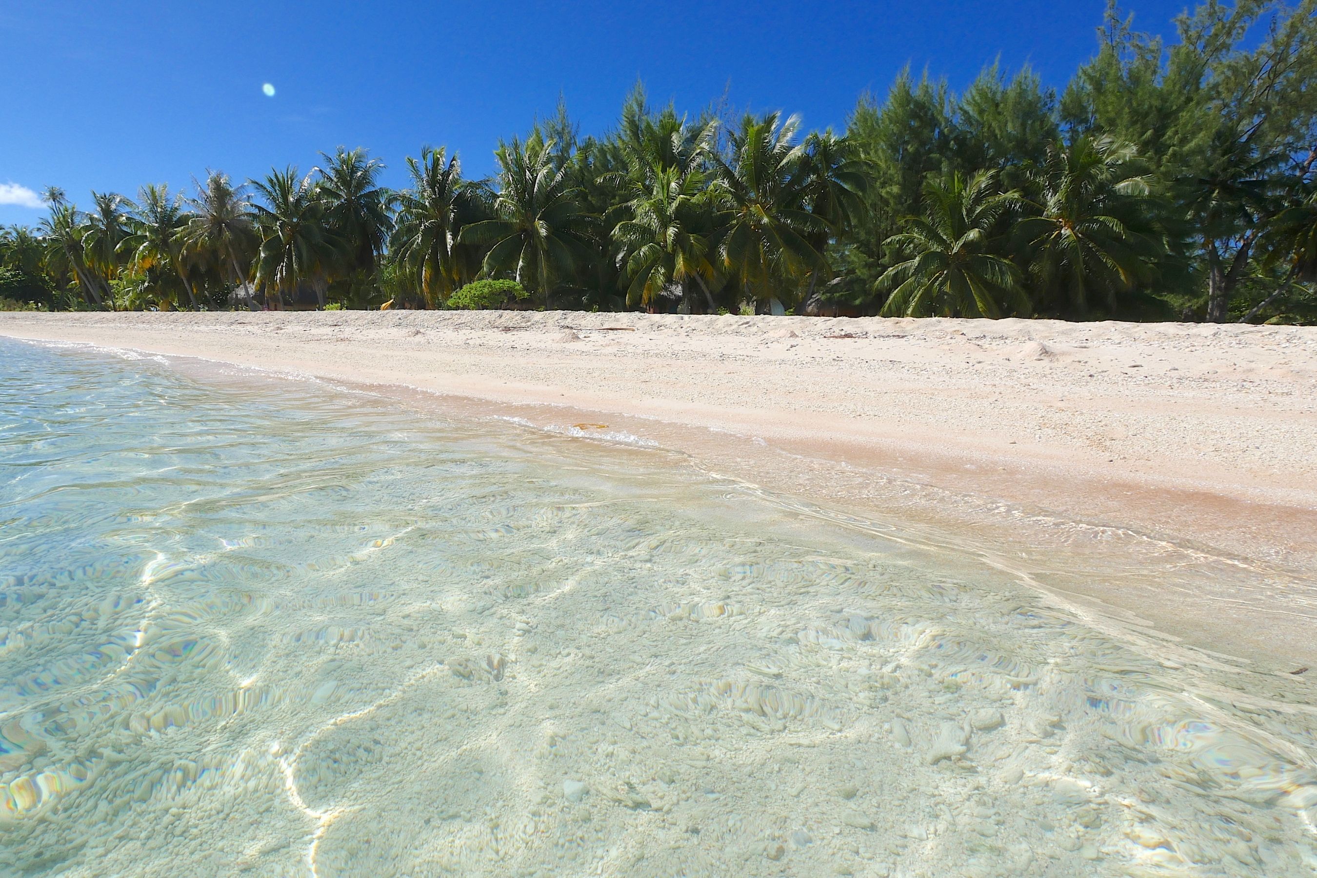 Coco Dive Tikehau Pension Hotu