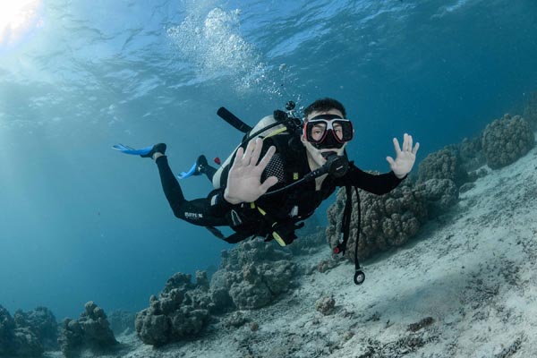 Coco Dive Tikehau 